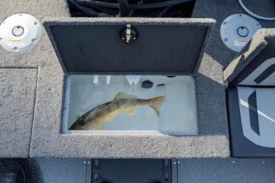cl25-cf20wj-2050-fish-hawk-l1302097-detail