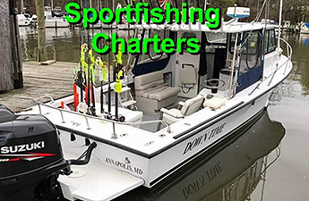 Downtime Charters