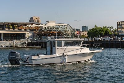 Cruising Tampa