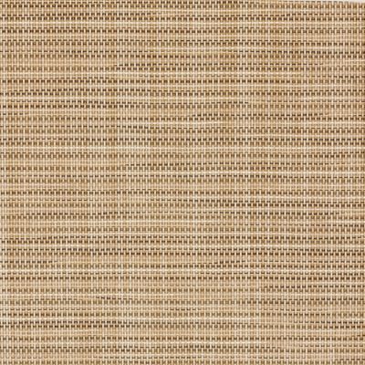 Desert Beige Seagrass