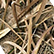 lb-mossy-oak-shadow-grass-blades-option_default