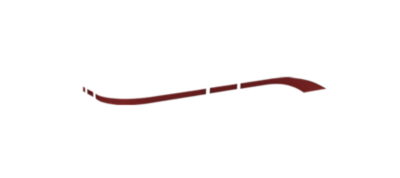 accent-color