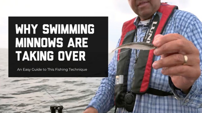 Why Swimming Minnows are Taking Over (1280 x 720 px) - 2