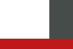 Arctic White / Gunmetal / Red