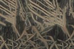 Mossy Oak Shadowgrass Blades