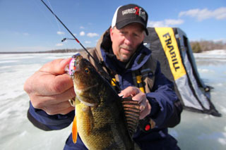 Catching Rays Harnessing UV Light To Catch More Fish