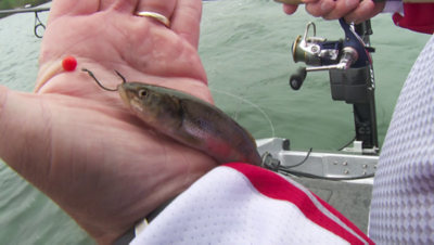 lund-ultimate-fishing-experience-show-s14-ep05