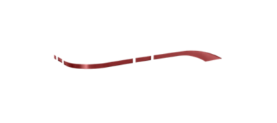 accent-color