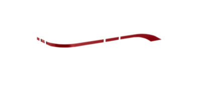 accent-color